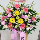 디씨김해