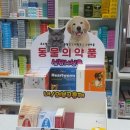 이약국 이미지