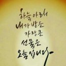 건강한하루 이미지