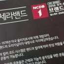 강릉마디튼튼정형외과의원 티스토리
