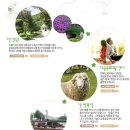 대인목장 이미지