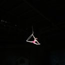 오션 아레나 이미지