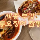 비소(부강)-일-2 | 세종시 부강 맛집 | 금용 통오징어짬뽕 탕수육 솔직후기