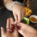 일딴부어호프