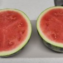 대왕청과 이미지