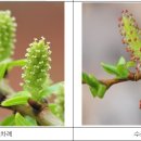 버드모아 이미지