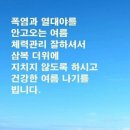 오늘 이미지