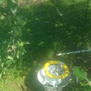 청강농원 이미지