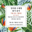 더콩 이미지