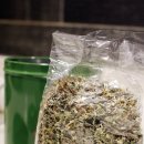 샹그릴라 | 고급진 연말 감성 선물 추천! 델픽 샹그릴라 프리미엄 티 후기