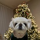 이화정육식당 이미지