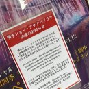 유당구장 | 일본 후쿠오카 3박 4일 여행기