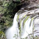 천제연폭포 이미지