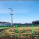 제주양돈축산업협동조합 제주도니유전센터 네이버블로그