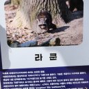 임실자연농원 이미지