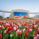 호암가든 이미지