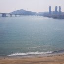 이안테라디움 이미지