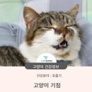 청학동물병원 이미지