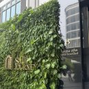 The 리버사이드 호텔 | 방콕 가족여행 숙소 추천, 더 살릴 호텔리버사이드 방콕(The Salil Hotel Riverside Bangkok) 솔직 후기