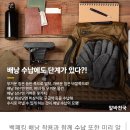 8월 27일(월) 출석부-백패킹 추천 장소~^^ 이미지