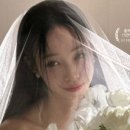 (주)스튜디오블룸 이미지