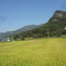 마래주유소 이미지