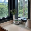 솜니제주 이미지