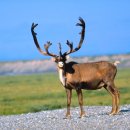 미소한의원 이미지