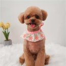 와르아르 네이버블로그