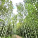 황포냉면 이미지