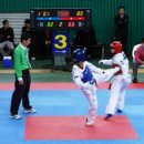 영광태권도체육관 이미지