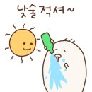 일상고기