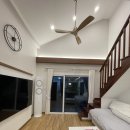 나무들의 수다 이미지