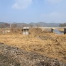 학리천 Daum카페