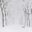하얀마음,포근한 겨울노래 모음 이미지