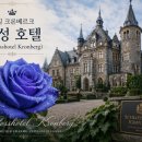 청금색(靑金色)의 신비 이미지