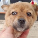 둔포우체국 이미지