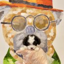 제주 애견 아가야 이미지