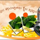 서른 두번째 여행 - 이천 산수유 축제 이미지