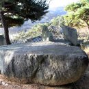 안국사지 이미지