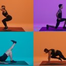 어베인휘트니스 이미지