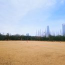 해돋이도서관 이미지