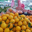 평택축협 하나로마트 안중점 이미지