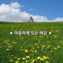 해답 Daum카페