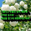 이연재 Daum카페