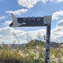 소리의섬 이미지