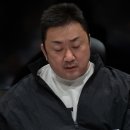 마동석 카카오 검색결과