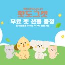 베베도그 이미지