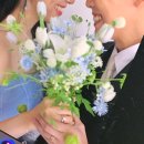 올라운드P.T | 42. 아테소 부케디렉팅 르무아드메