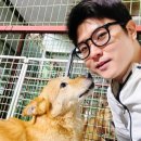 노동쉼터 | 유기견 보호소 봉사 활동 가낳네키 두 번째 후기